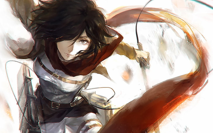 Mikasa from Attack on Titan, Shingeki no Kyojin, Mikasa Ackerman, HD wallpaper
