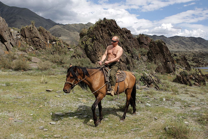 brown horse, mountains, nature, Wallpaper, Putin, Vladimir Putin