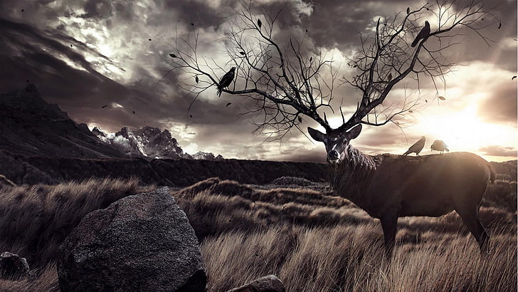 sky, wildlife, deer, tree, cloud, landscape, stag, fantasy art, HD wallpaper