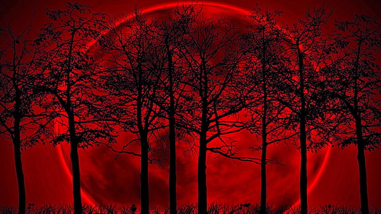 HD wallpaper: 4K, Sunset, Red Moon, Full moon | Wallpaper Flare