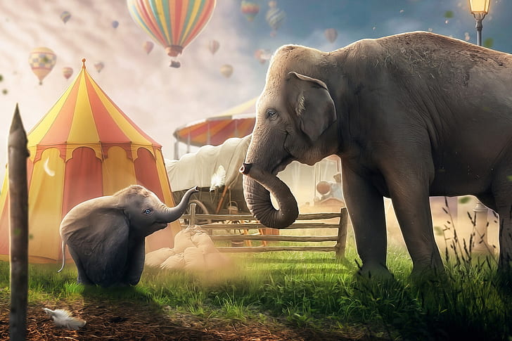 Dumbo movie 1080P, 2K, 4K, 5K HD wallpapers free download | Wallpaper Flare