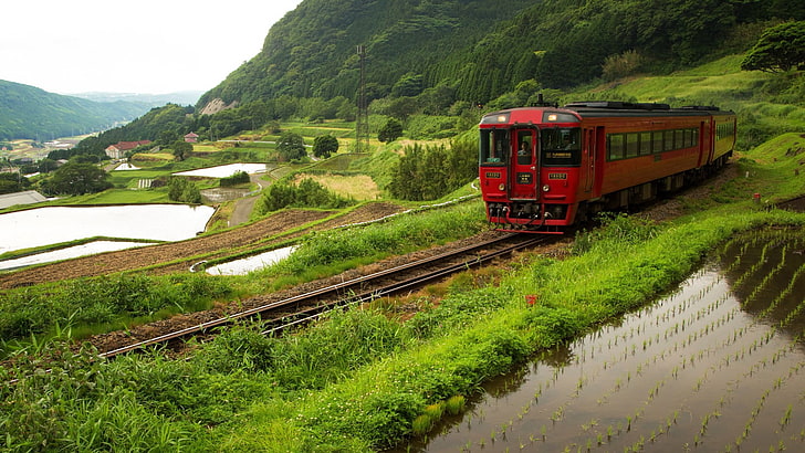 red train, Japan, railway, transportation, plant, track, mode of transportation