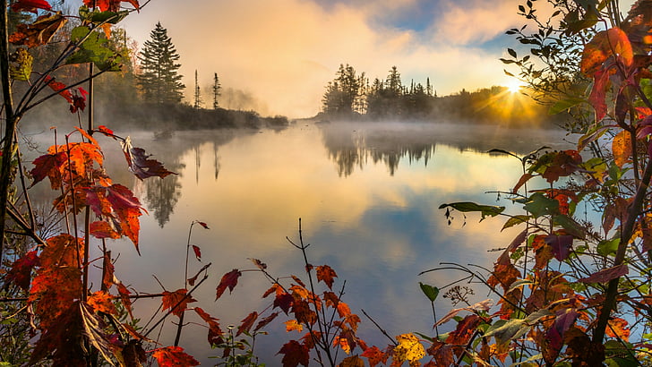 autumn colors, red leaves, autumn leaves, lake, misty, morning, HD wallpaper