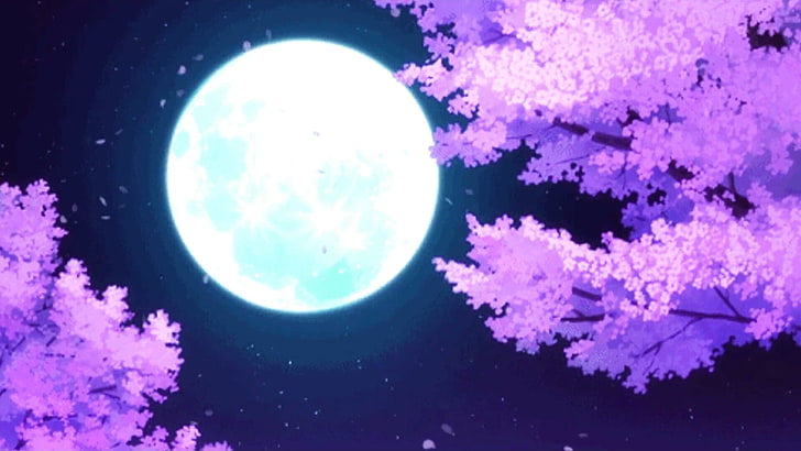 Details 77+ moonlight anime background latest - in.cdgdbentre