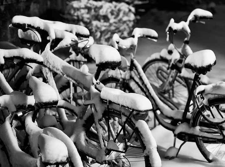 Snowy Bicycles, grayscale of snow-covered bicycle lot, Black and White