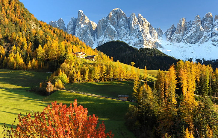 green leafed trees, Nature, Mountains, Autumn, Forest, Alps, Meadow