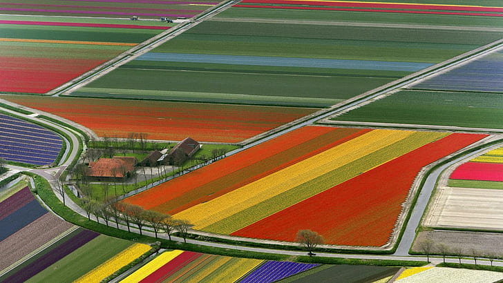 Colourful Farml, fields, nature, multicoloured, farmland, nature and landscapes