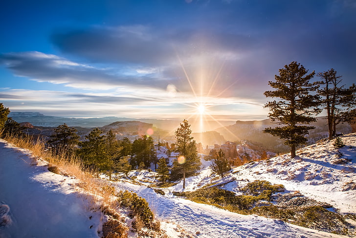 snow covered land, sunlight, winter, landscape, beauty in nature