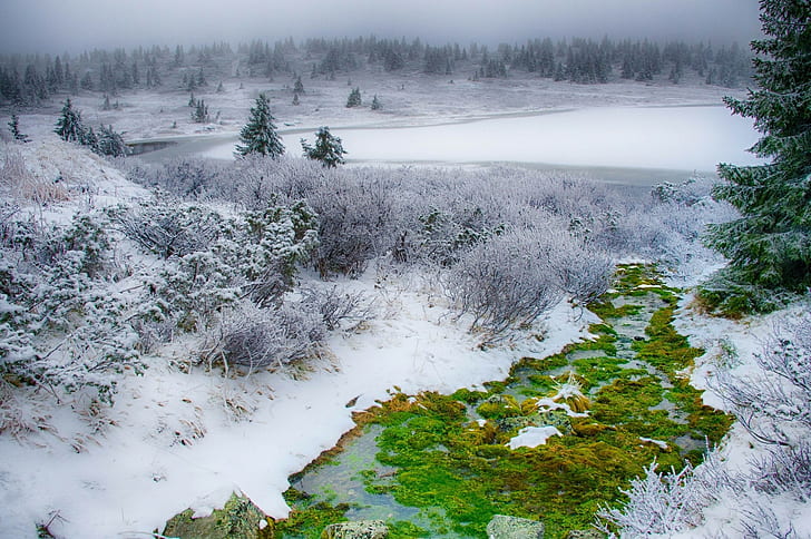 landscape, snow, winter, creeks, pine trees, HD wallpaper