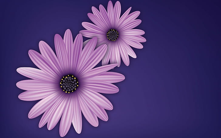 flowers, purple, vector, digital art, simple background, purple background, HD wallpaper