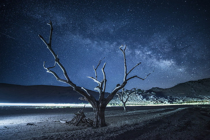 bare tree, night, universe, trees, star - space, scenics - nature, HD wallpaper