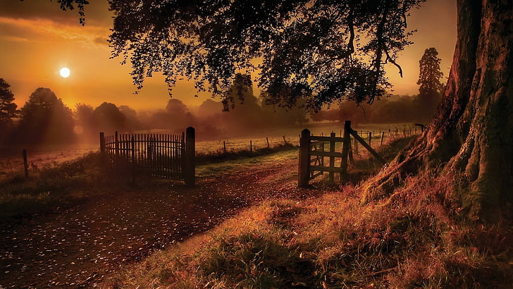 sunset, grass, mist, landscape, sky, romantic, autumn, evening, HD wallpaper
