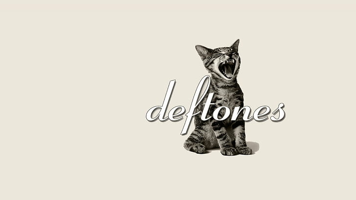 alternative, cat, deftones, experimental, hard, heavy, kitten, HD wallpaper