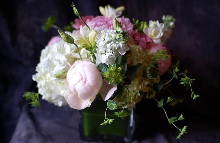 assorted-color petaled flowers, pion, gillyflower, hydrangea