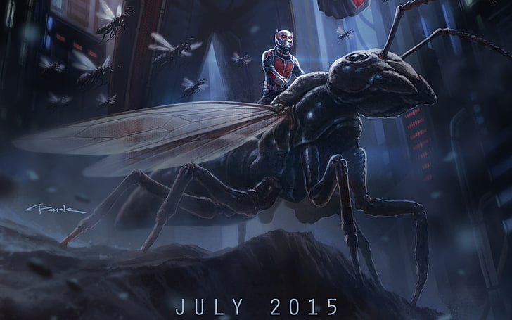 Antman 2015, Ant-Man and the Wasp movie wallpaper, Movies, Hollywood Movies