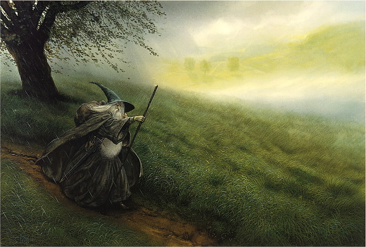 gandalf, John Howe, The Hobbit, The Lord Of The Rings, plant, HD wallpaper