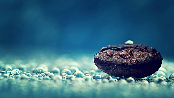 Coffee Bean Water Drop HD, blue, macro, rain