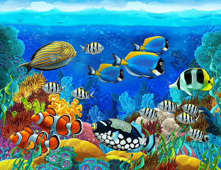school of fish illustration, sea, corals, the bottom of the sea, HD wallpaper