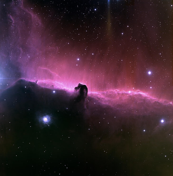 Horsehead Nebula, space, star - space, night, astronomy, sky
