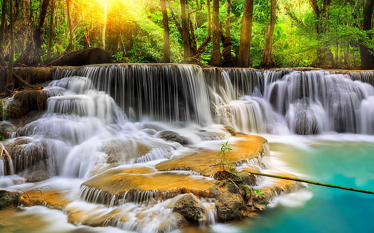 Thailand, forest, trees, waterfalls, stream, HD wallpaper