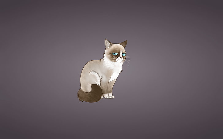 siamese cat illustration, grumpy cat, meme, domestic Cat, pets, HD wallpaper