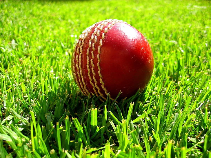 Cricket Background Images  Browse 43406 Stock Photos Vectors and Video   Adobe Stock