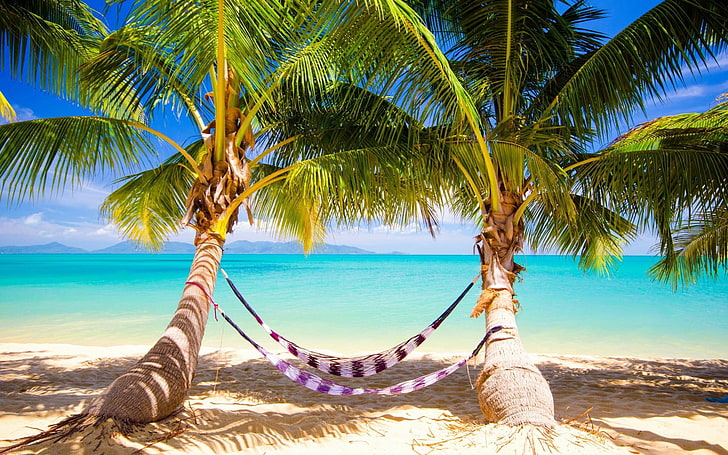 two white, brown, and purple striped hammocks, tropics, sand