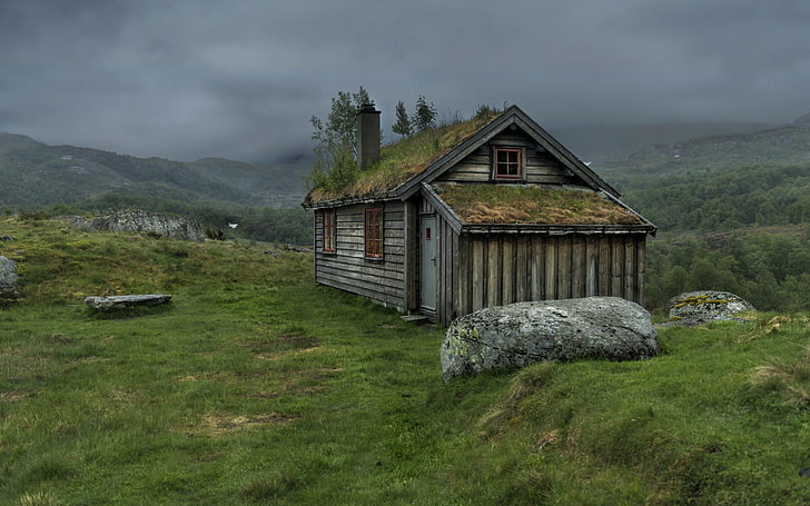 brown and white wooden house, nature, grass, mist, rock, hut