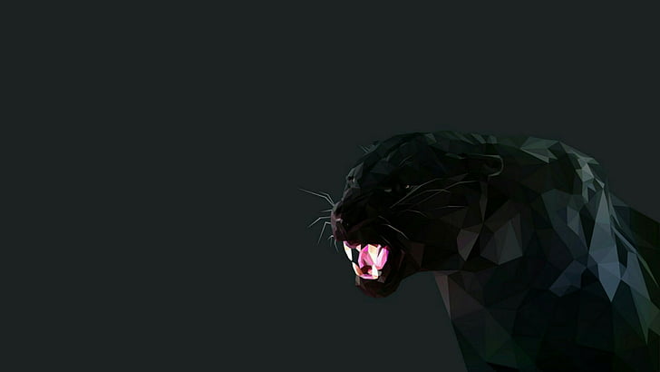 Black Panther 3d Wallpaper Download Image Num 84