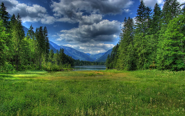 Germany, Berchtesgaden, Bavaria, grass, lake, forest, mountains, clouds