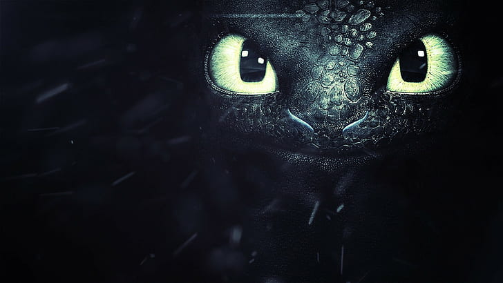 How to Train Your Dragon 2, Toothless, movies, HD wallpaper