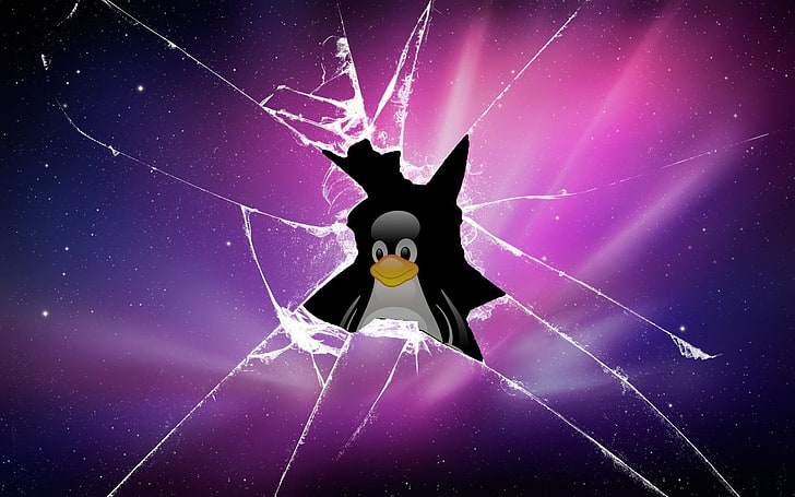 Linux logo, computer, Tux, spider web, purple, fragility, no people, HD wallpaper