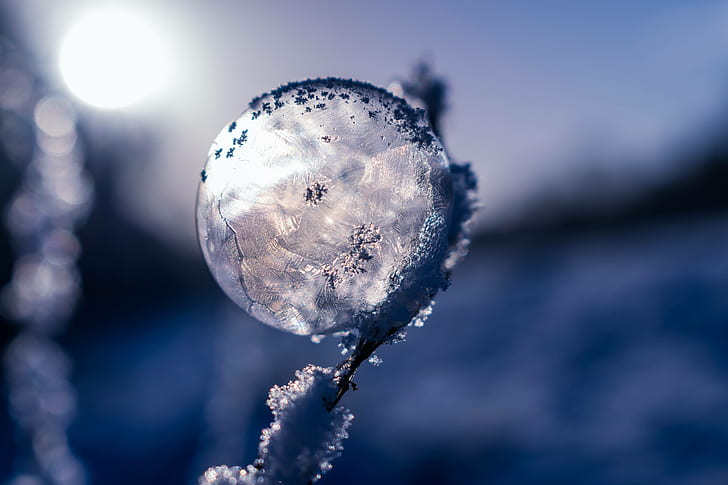 bubble, frozen, soap, winter