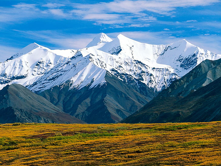 Denali National Park Alaska, HD wallpaper