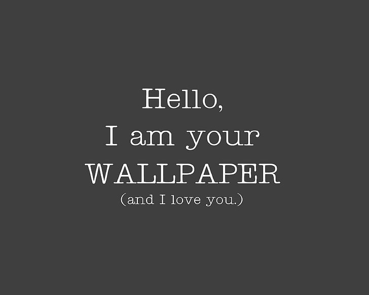 HD wallpaper: hello I am your wallpaper and I love you text, Humor, Funny,  Statement | Wallpaper Flare