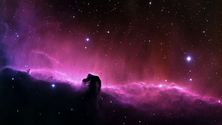 dark nebula, hd, horsehead nebula, space, stars, universe, star - space, HD wallpaper