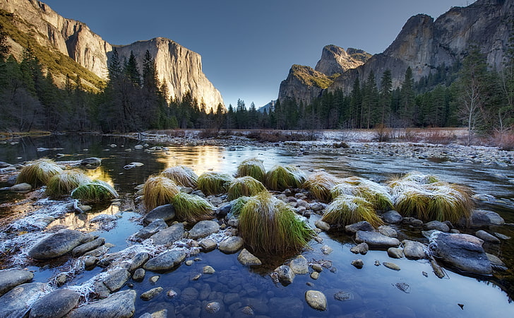 El Capitan, gray stones, United States, California, View, Grass, HD wallpaper