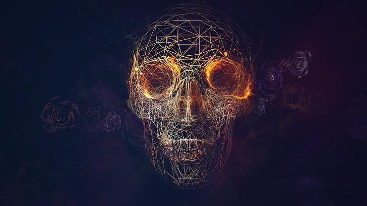 brown and black skull illustration, wireframe, rose, abstract
