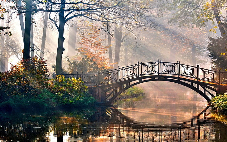 mist, bridge, sunbeams, fall, river, tree, plant, connection, HD wallpaper