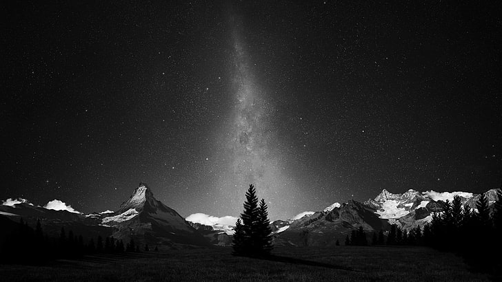 Milky way photography, monochrome, forest, galaxy, night, space art