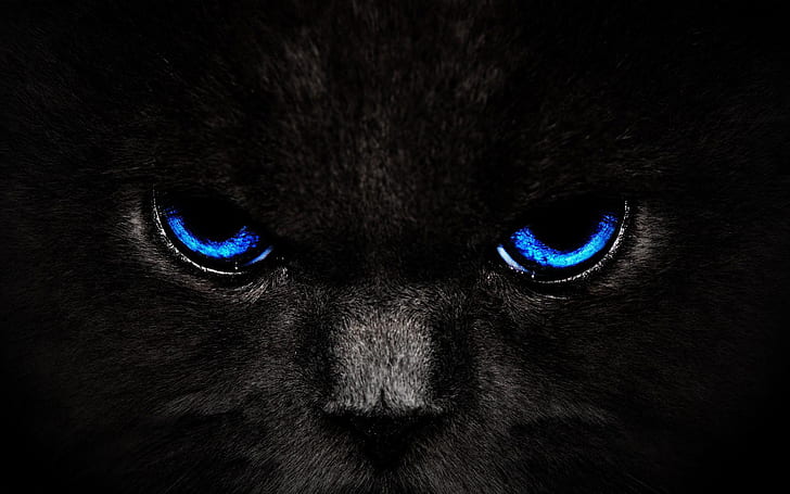 Fantasy Blue Eyes Cat, blue eyed black cat, artistic, HD wallpaper