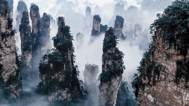 Zhangjiajie National Park in China, tree, beauty in nature, HD wallpaper