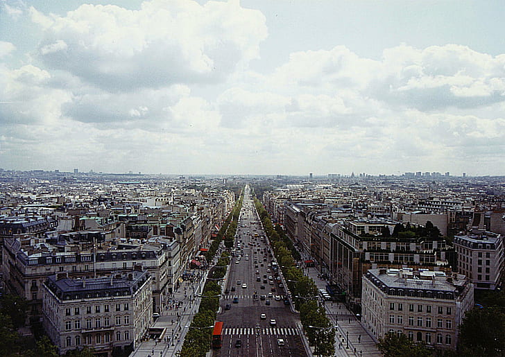Paris - Champs Elysees, france, europe, animals, HD wallpaper