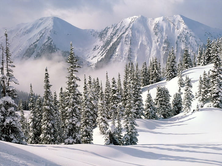 Christmas mountain A Winter Wonderland Nature Mountains HD Art, HD wallpaper