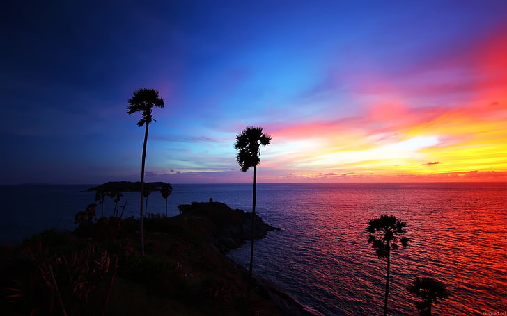 palm trees, island, sunset, landscape, sea, silhouette, sky, sunlight, HD wallpaper