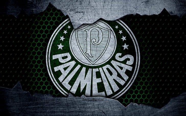 Soccer, Sociedade Esportiva Palmeiras, Logo