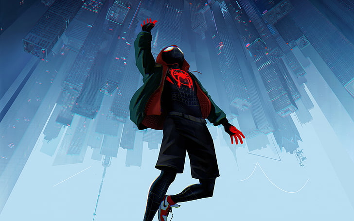 Spider-Man Into the Spider-Verse, one person, winter, rear view