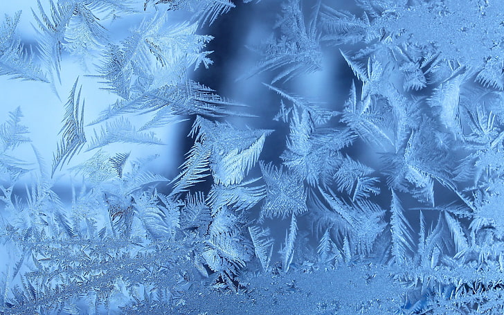 snowflakes illustration, frost, patterns, ice, winter, christmas, HD wallpaper