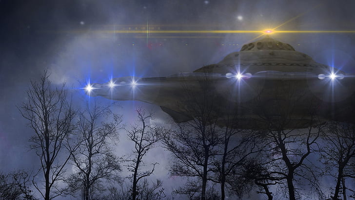 ufo, alian, unidentified flying object, night, trees, HD wallpaper