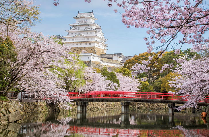 bridge, castle, Japan, Sakura, Himeji, HD wallpaper